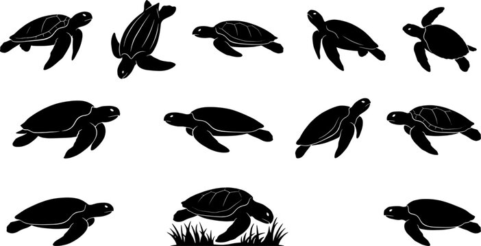 Swimming sea turtle silhouette set depicting various marine reptiles in profile views