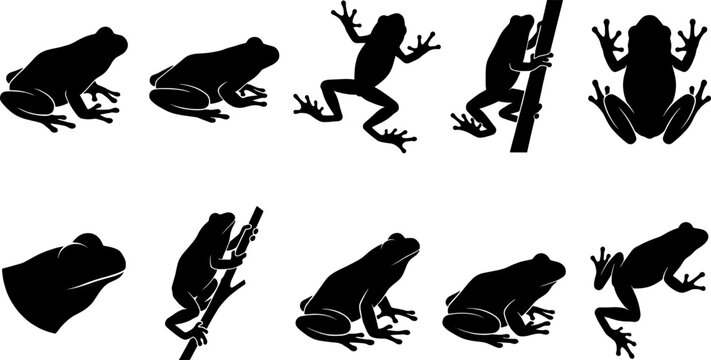 Tree frog silhouette set featuring various amphibians climbing jumping and in top-down views