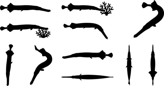 Tropical trumpetfish and pipefish silhouette bundle showing elongated reef fish in vertical poses