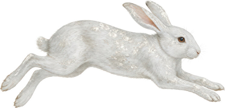 Energetic White Rabbit Leaping, Isolated on White Background