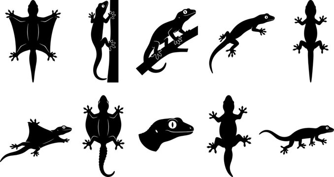 Variety of gecko and lizard silhouettes climbing in a reptile graphic bundle