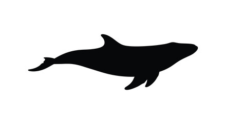 whale silhouette on white background black animal © MSTMARIA