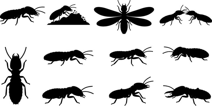 Variety of termite silhouettes showing winged and crawling forms for pest control design
