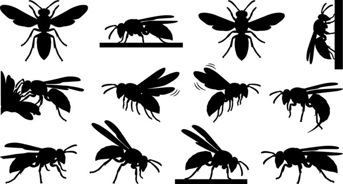 Variety of wasp and hornet silhouettes flying and landing in different angles