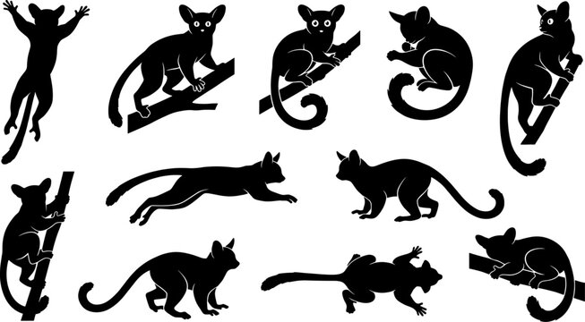 Variety pack of bush baby silhouettes climbing branches and jumping through air