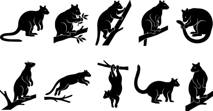 Variety of tree kangaroo silhouettes climbing and eating in a wildlife bundle