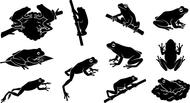 Variety pack of frog silhouettes on branches and leaves for tropical forest scene creation