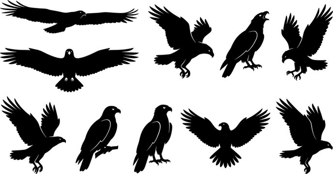 Variety pack of eagle and hawk silhouettes soaring perched and landing in avian poses