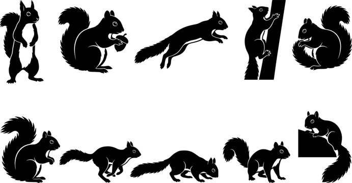 Variety pack of squirrel silhouettes climbing jumping and eating acorns in different forest poses
