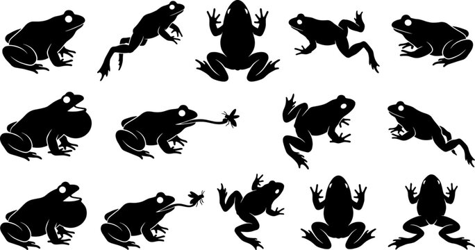 Variety pack of frog silhouettes showing amphibians jumping and catching flies with long tongues