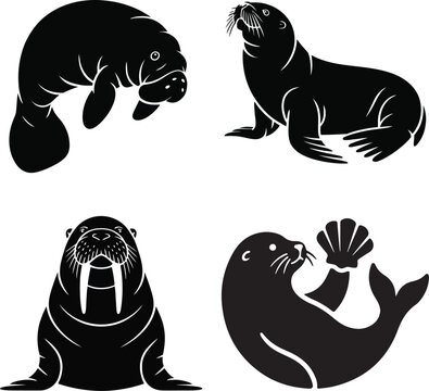Four black and white marine mammal vector illustrations