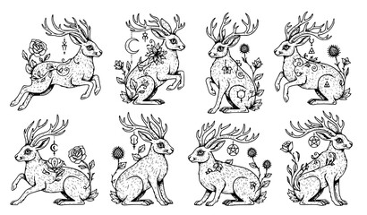 Obraz premium Cute Deer Character Fantasy Illustration Set