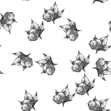 seamless pattern fly cotton plant hand drawn. vector organic, seed herb, vintage minimal fly cotton plant black sketch illustration