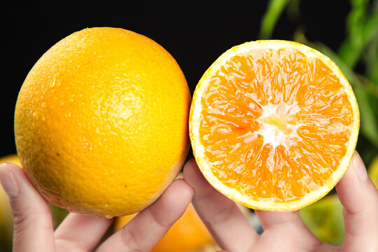 Fresh Hubei Zigui Orange Cut in Half Showing Rich Juicy Flesh and Vitamins - Summer Citrus Fruit