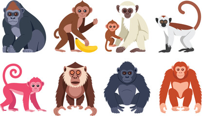 Naklejka premium Collection of eight different monkey species, including gorillas and orangutans, illustrated.
