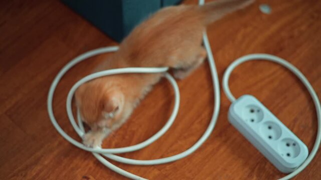 An orange kitten climbs up a surface while investigating and playing with cables on the floor. The playful cat appears curious and energetic in a home environment filled with everyday items