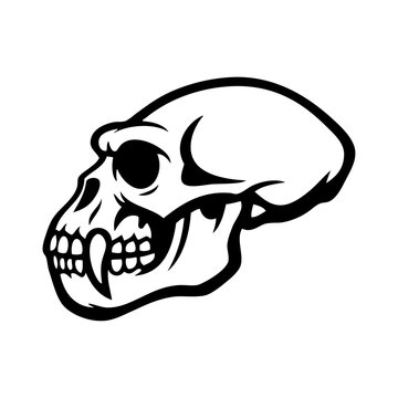 Logotipo con dibujo sencillo con lineas del cr&aacute;neo de un simio tipo gorila visto de perfil 