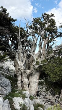 The Unyielding Spirit of the Anatolian Peaks