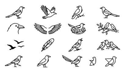 Bird Flying and Nesting Sketch Icons Vector Set for Decoration © Crafts Home