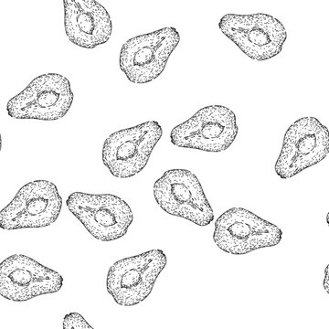 seamless pattern edible chayote healthy hand drawn. fresh nutritious, raw food, vegetable natural edible chayote healthy black sketch illustration