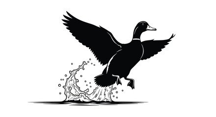 Fototapeta premium duck silhouette taking off bird animal black