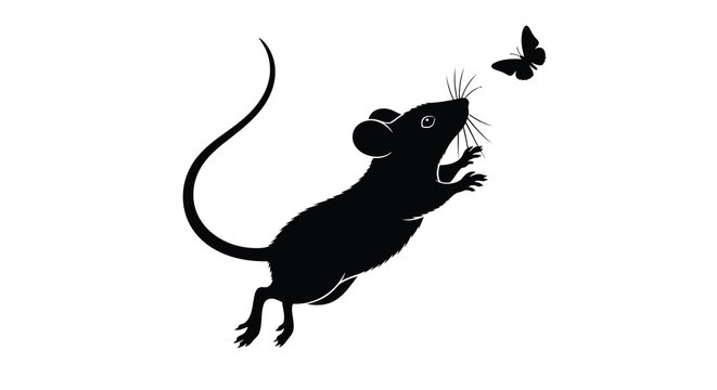 mouse silhouette chasing butterfly animal black white