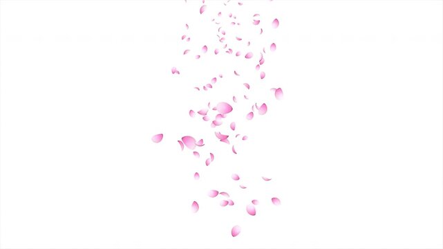 Cherry blossom petals falling animation. Pink cherry petals. Sakura leaves falling. Realistic falling blossoms. Falling petals. Japanese spring concept