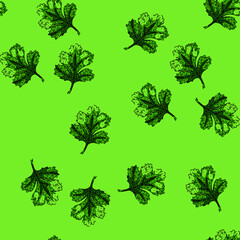 Fototapeta premium pattern parsley coriander hand drawn. fresh seed, bunch green, herb spice parsley coriander vector sketch illustration