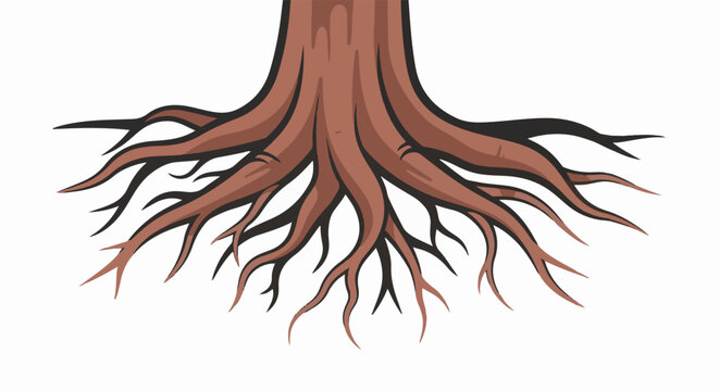 Brown tree base with spreading, intricate root system