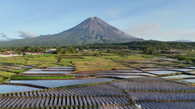 Aerial Drone Flight Over Rice Fields at the Foot of Mount Semeru in East Java Indonesia