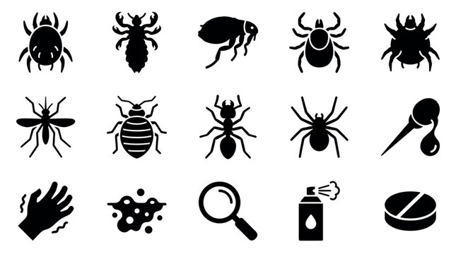 Collection of various pest control icons depicted in black silhouettes on a clean white background, illustrating common insects and related tools