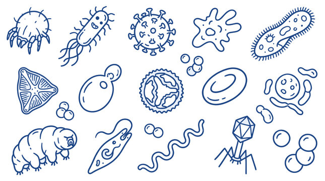 Various blue outline microorganisms and bacteria are depicted as a seamless pattern on a clean white background, illustrating diverse microscopic life forms