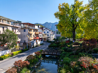 Fototapeta premium Huanxi Millennium Village, Tonglu - Ancient Jiangnan Architecture with Ginkgo Trees