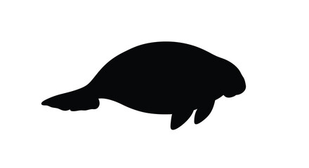 Fototapeta premium manatee silhouette on white background marine animal