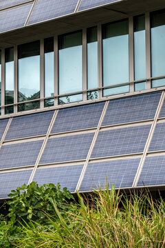 Solar panels architecture with windows and vegetation wraps the building facade, adding urban exterior detail above a quiet planted foreground.