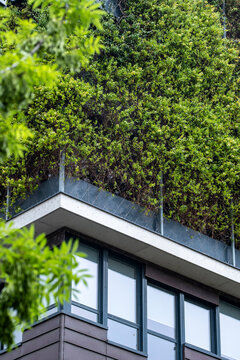 Green roof architecture with windows and vegetation crowns the building facade, bringing urban detail to a clean exterior corner composition.