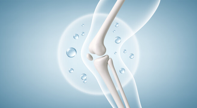 Knee joint anatomy with vitamins, minerals and collagen support. Orthopedic healthcare concept. Vector realistic illustration_2