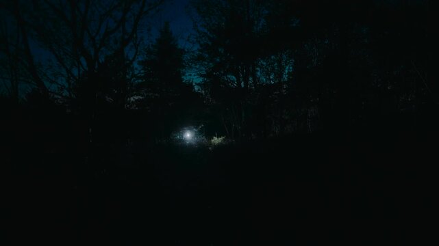 Hikers walking on a path through a dark forest at night with a bright headlamp illuminating the way