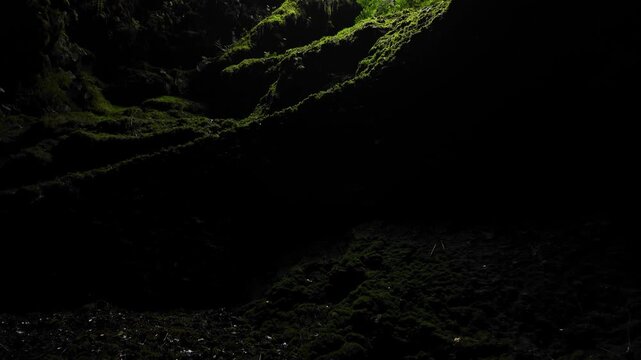 Cinematic slow reveal of moss covered volcanic cave walls illuminated by natural skylight in Algar do Carvao Azores Portugal