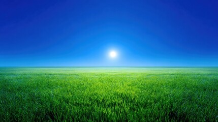 Obraz premium Expansive Green Field Under Bright Blue Sky With Radiant Sunlight at Dusk or Dawn in Serene Natural Landscape