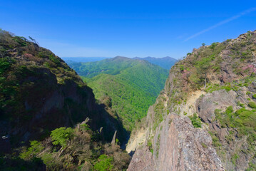 Obraz premium 大分県の傾山、後傾と傾山の谷間からの祖母山遠望