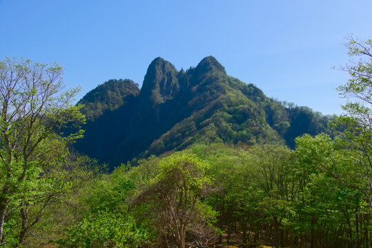 大分県の傾山、西側稜線から望む（左から）前傾、傾山、後傾