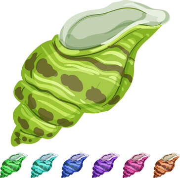 conch sea shell cartoon. conch sea shell sign colorful illustration