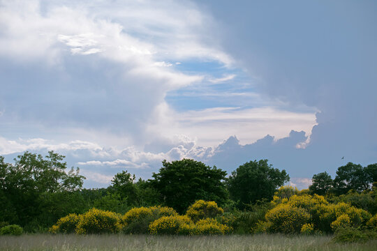 Ciel orageux de fin de journ&eacute;e avec trou&eacute;e de ciel bleu et une grande diversit&eacute; de formes de nuages qui s"entrecroisent au-dessus d'une plaine arbor&eacute;s.