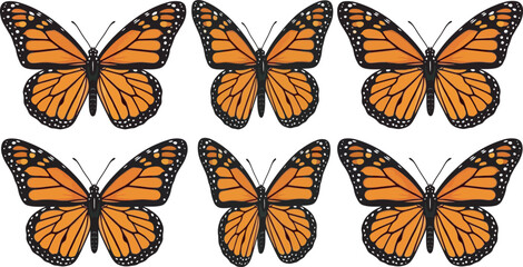 Collection of monarch butterflies with orange wings © BipashaSketches 