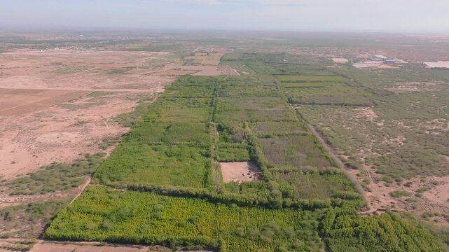 Aerial - dense green forest and cultivated fields contrasting vast arid plains in Balochistan, Pakistan