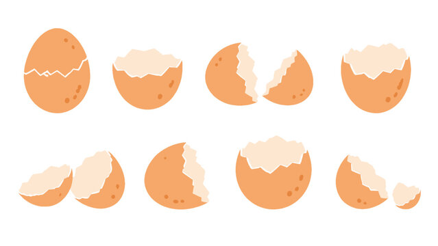 Set of cracked eggshell pieces in simple flat vector style