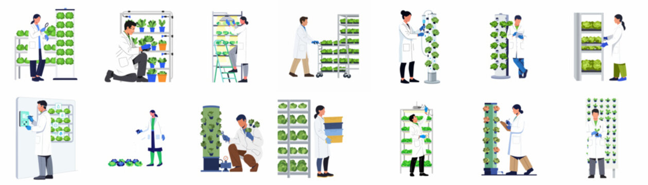 Scientists and researchers working in a modern vertical farm environment using advanced hydroponics and smart technology for sustainable indoor agriculture.