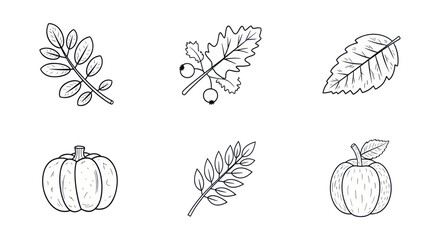 Fototapeta premium Hand-drawn botanical illustrations of leaves and pumpkins, perfect for nature-themed designs and eco-friendly projects.