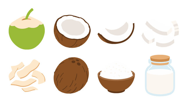 Coconut fruit, slices, flakes, milk and grated flesh vector set